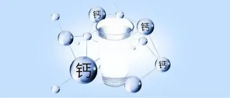 成人补钙吃什么