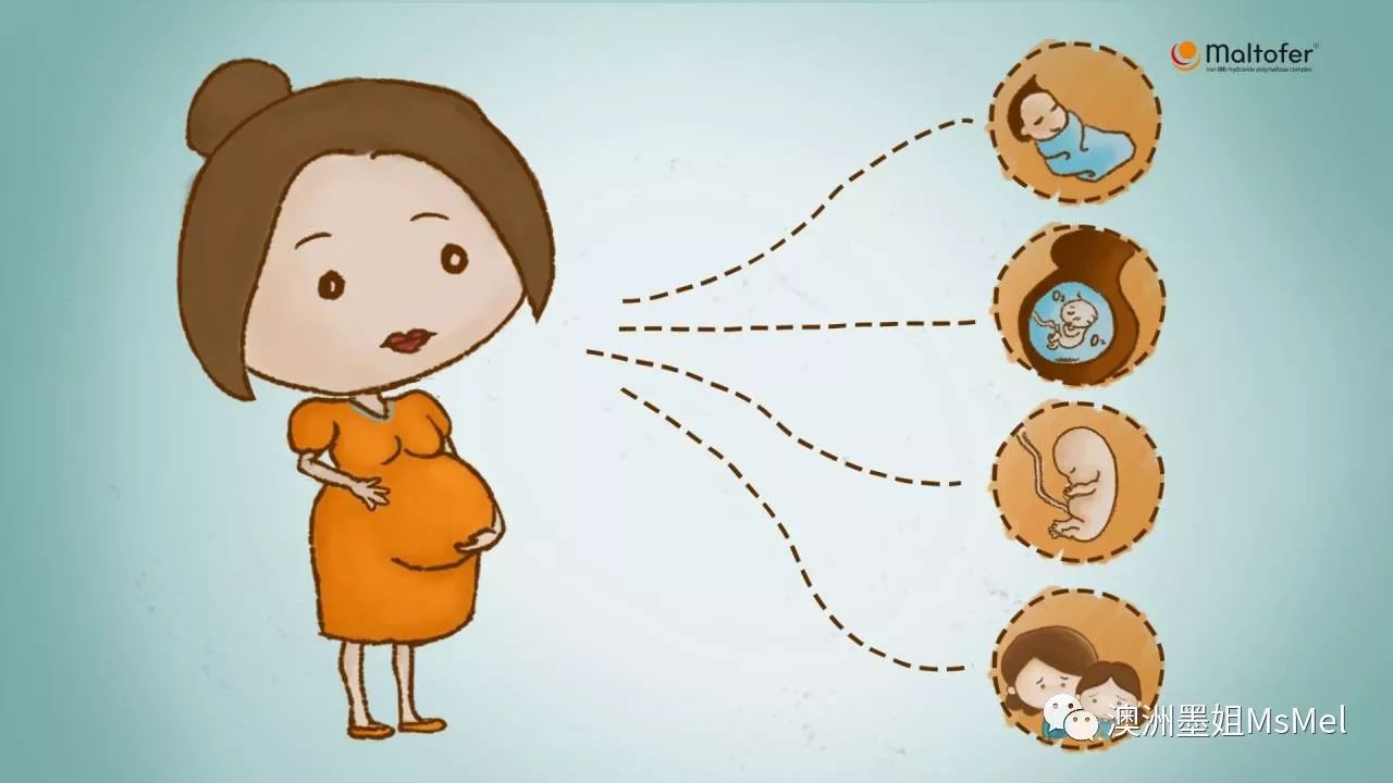孕妇补铁的药品有哪些