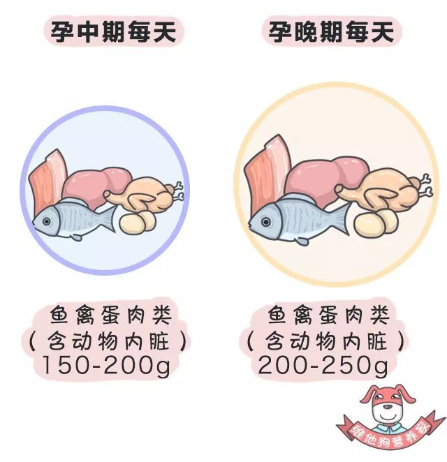 孕妇补铁什么时候吃最好