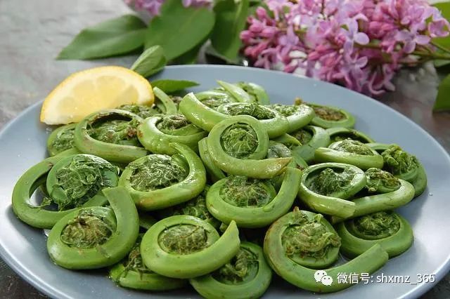 补锌吃什么