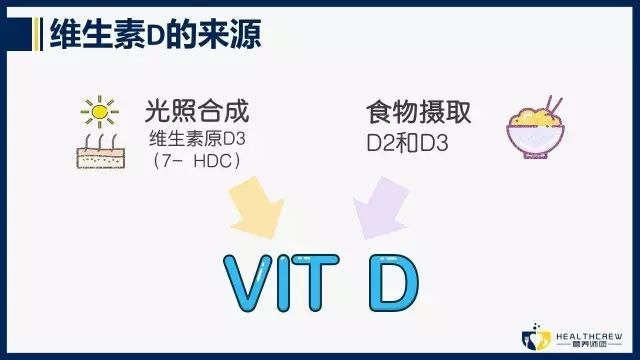 为什么说晒太阳补钙