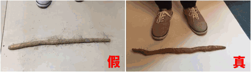 哺乳期缺锌吃锌硒宝