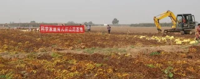 哺乳期缺锌吃锌硒宝