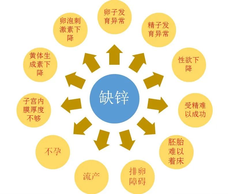 不备孕可以吃锌硒宝