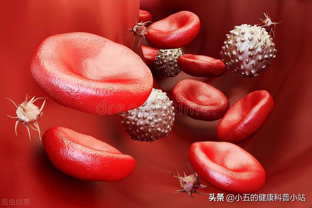 怎么补铁元素