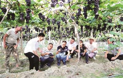 锌硒宝寿宁哪里有卖