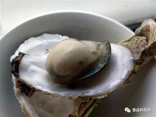 吃什么能补锌食物最好