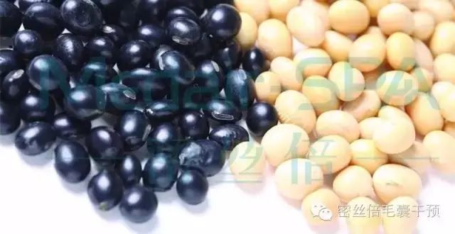 脱发缺什么微量元素