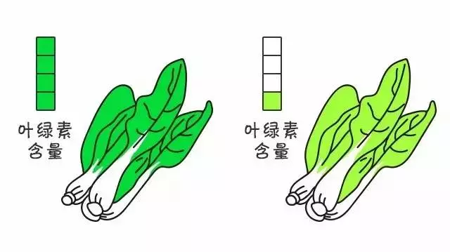 补铁是补血吗
