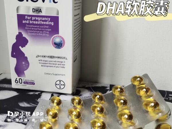 爱乐维dha