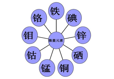 26个微量元素简称
