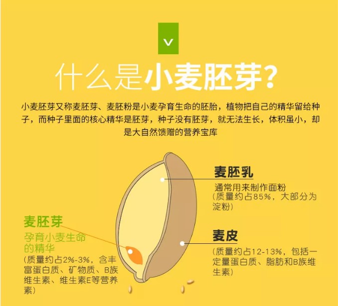 锌硒宝和免疫球蛋白