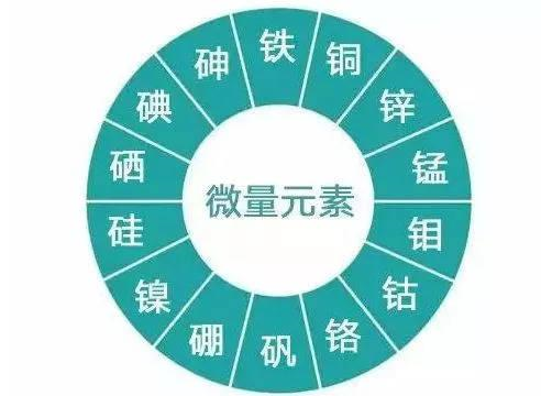 怎样查微量元素