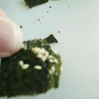 一岁半宝宝补钙吃什么牌子