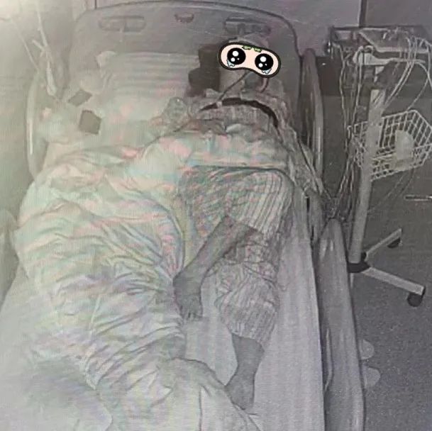 鱼补铁吗