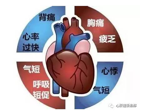 心脑血管什么时间补硒