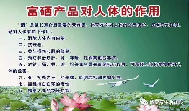 补硒的重点是补充什么