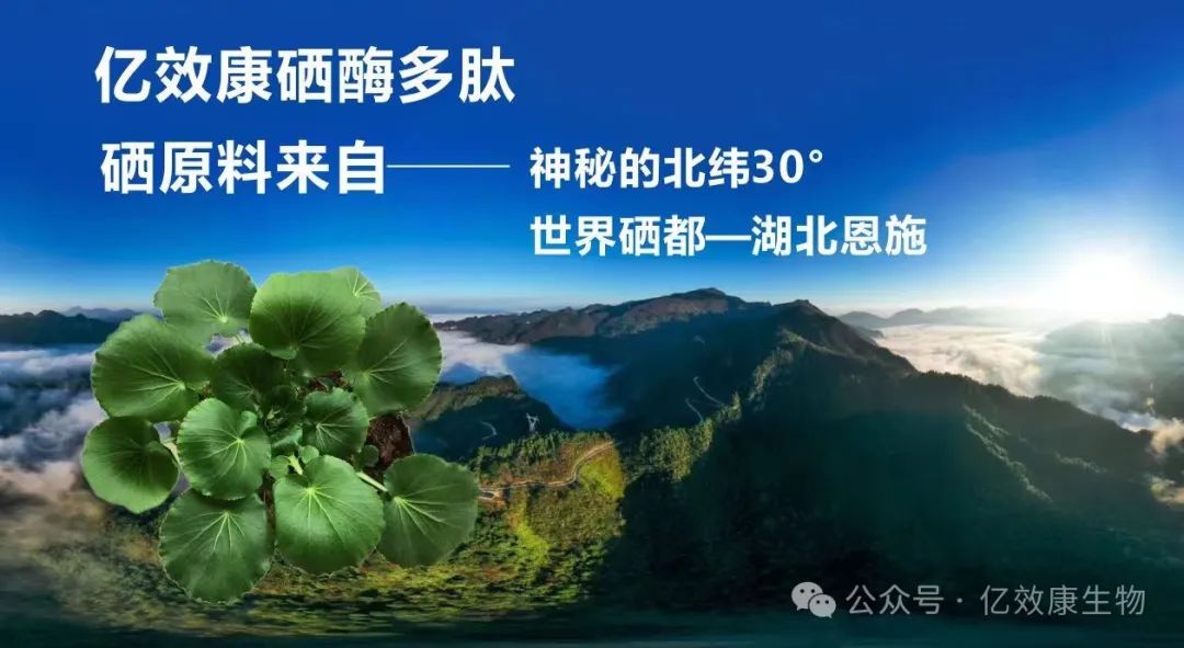 身体健康者需要补硒吗