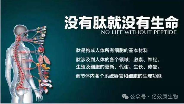 身体健康者需要补硒吗