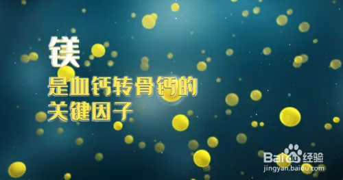 补钙科普 | 钙在人体内是如何吸收的？