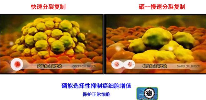 肿瘤患者补硒有什么用
