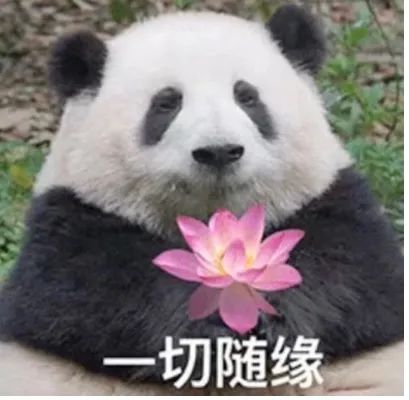 世界补硒排名前十国家