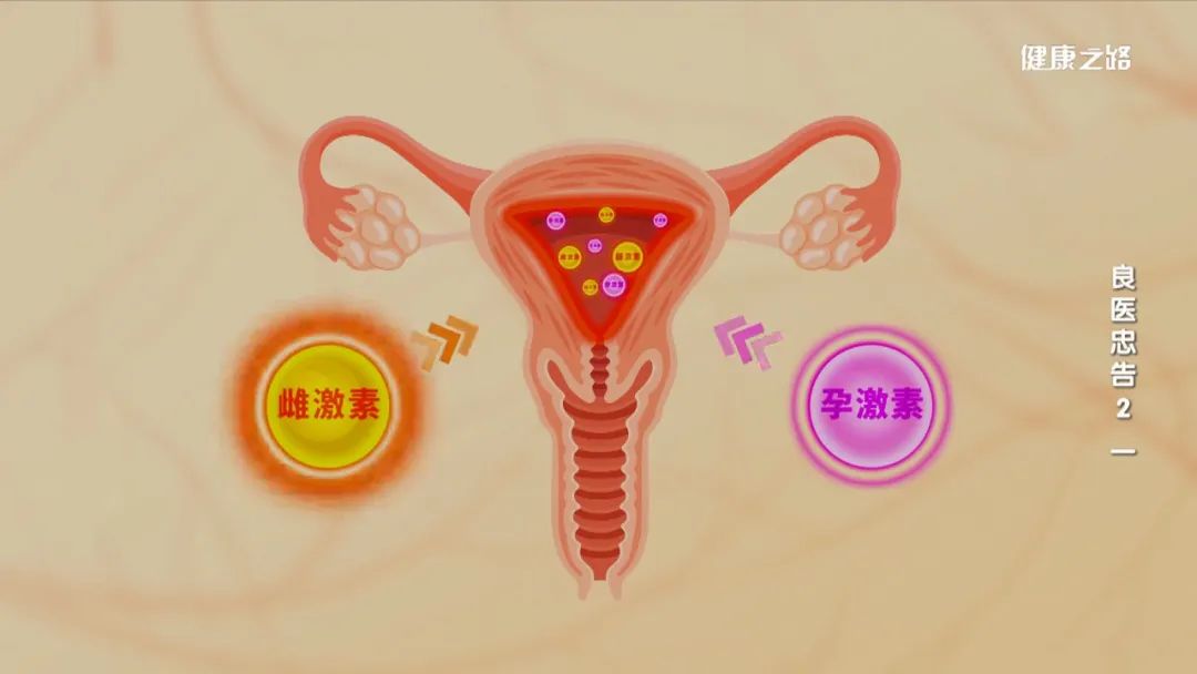 子宫内膜癌需要补硒吗