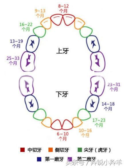 一颗心补钙