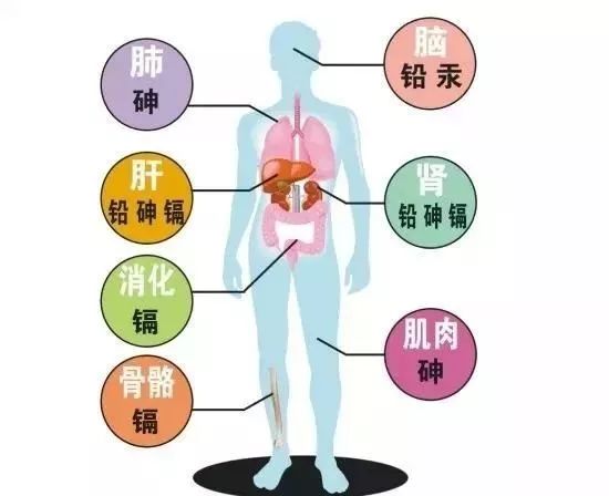 砷重度异常可以补硒吗