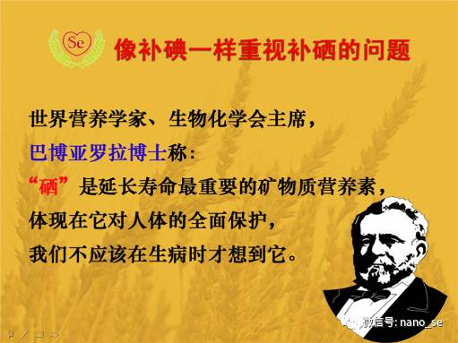 补硒还是大蒜素效果好