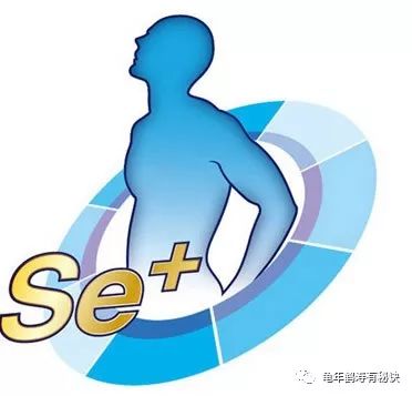 前列腺癌如何补硒治疗