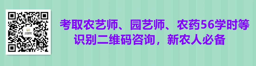 冬枣补铁吗