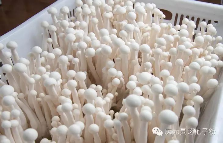 补植物硒对肝癌有用吗