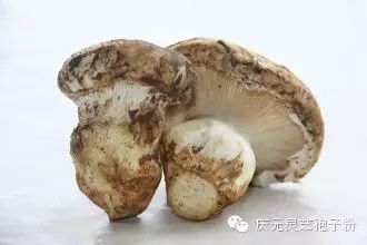 补植物硒对肝癌有用吗