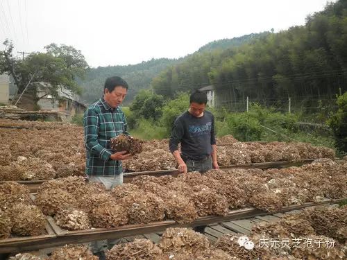 补植物硒对肝癌有用吗