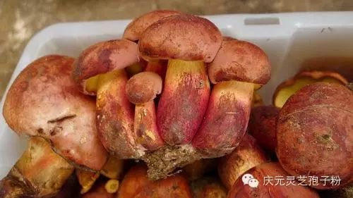 补植物硒对肝癌有用吗