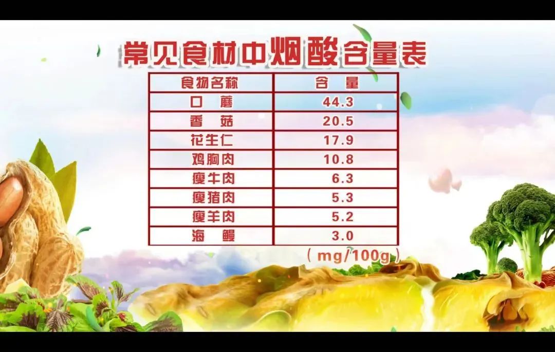 菠菜补铁吗