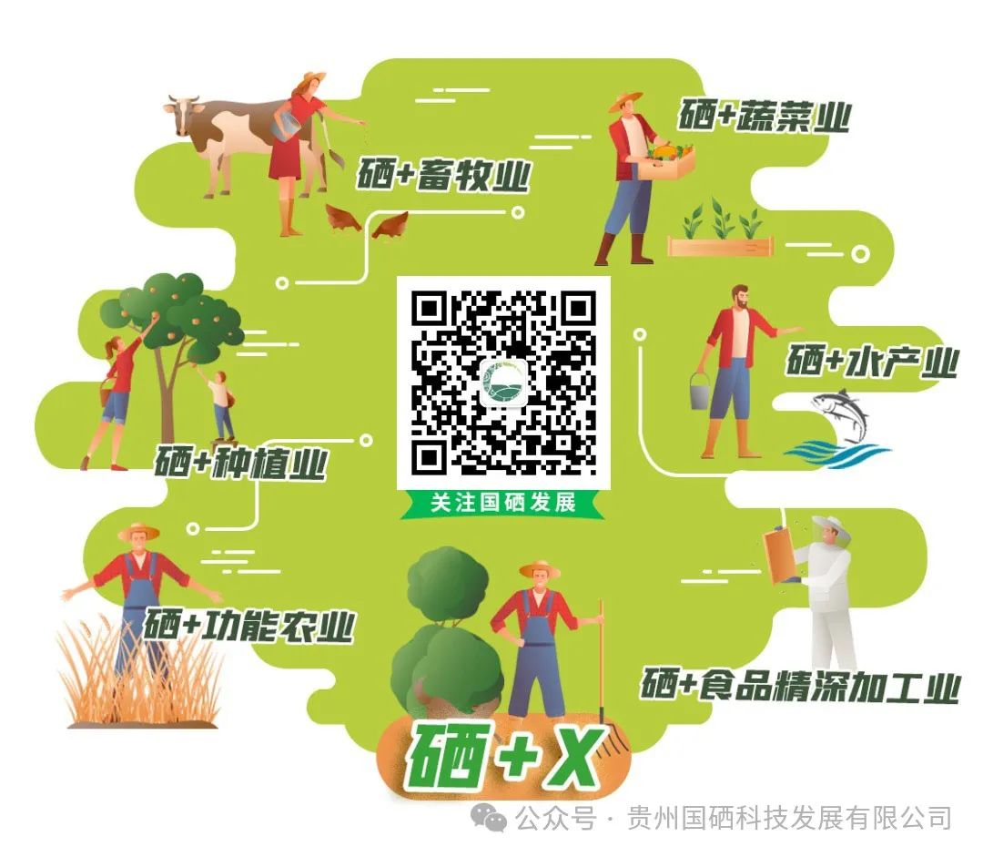 每天要补多少锌镁硒呢