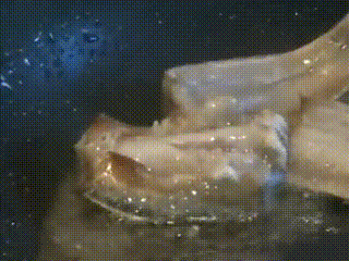 补硒后还可以吃中药吗