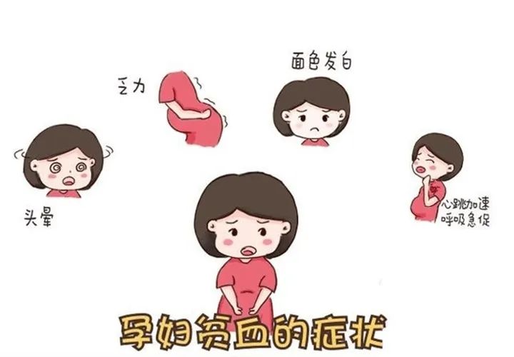怀孕怎么补铁