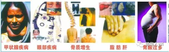 黄瓜粉补钙吗