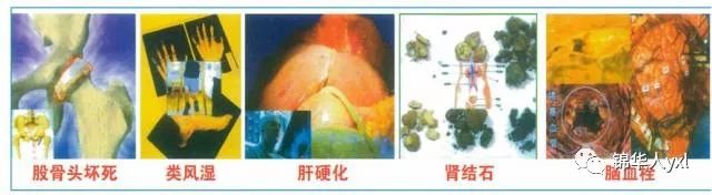 黄瓜粉补钙吗