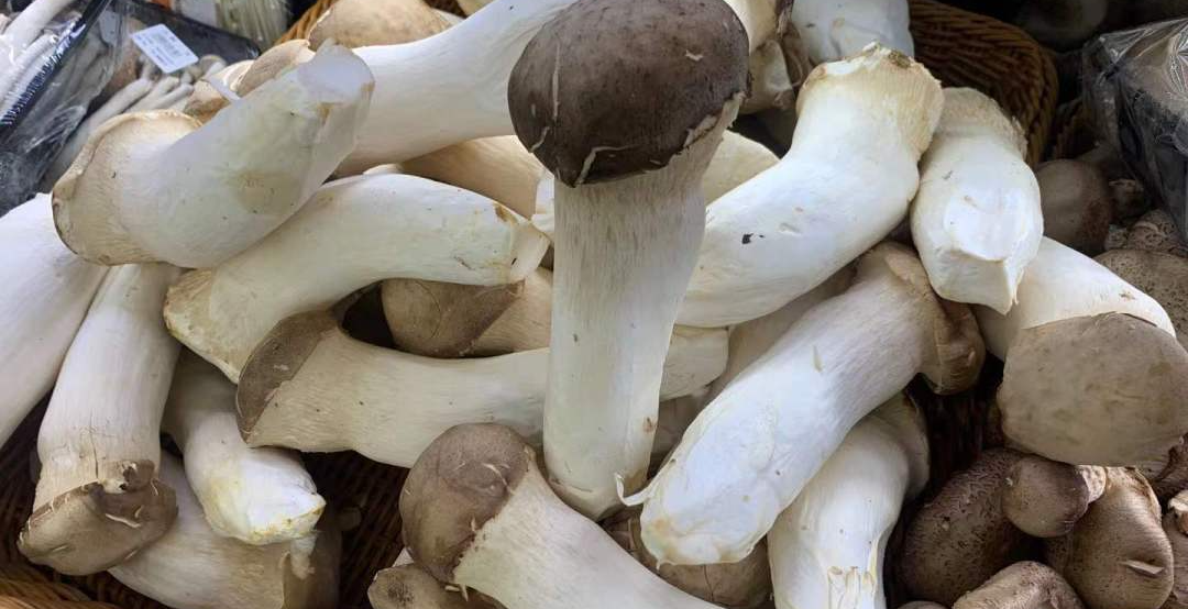 甲减吃补硒的药能行吗