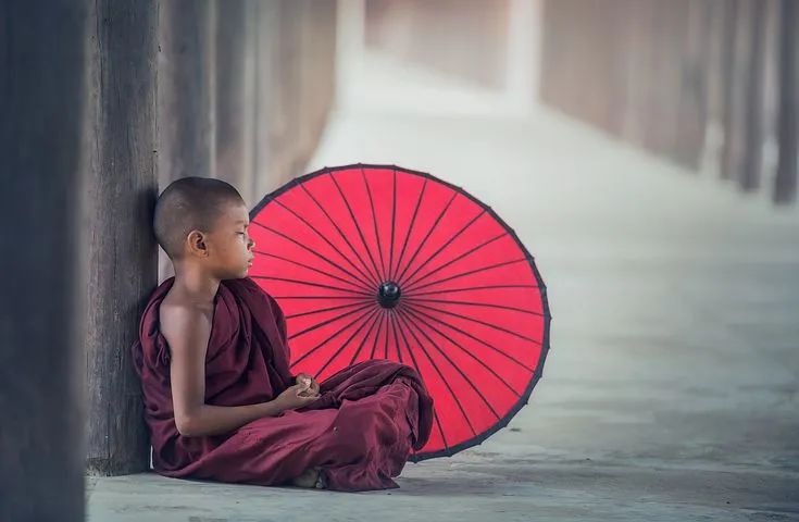 补硒吃什么东西比较好