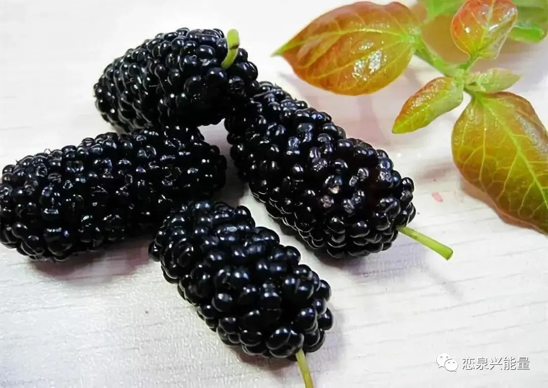 钙十锌镁磷硒铁十八补