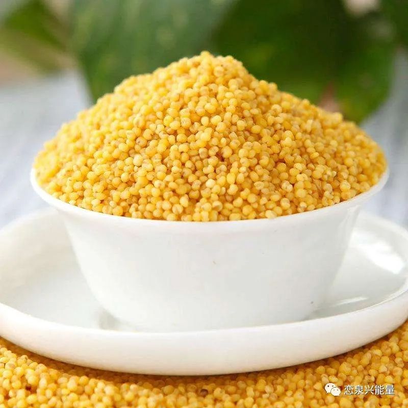 钙十锌镁磷硒铁十八补