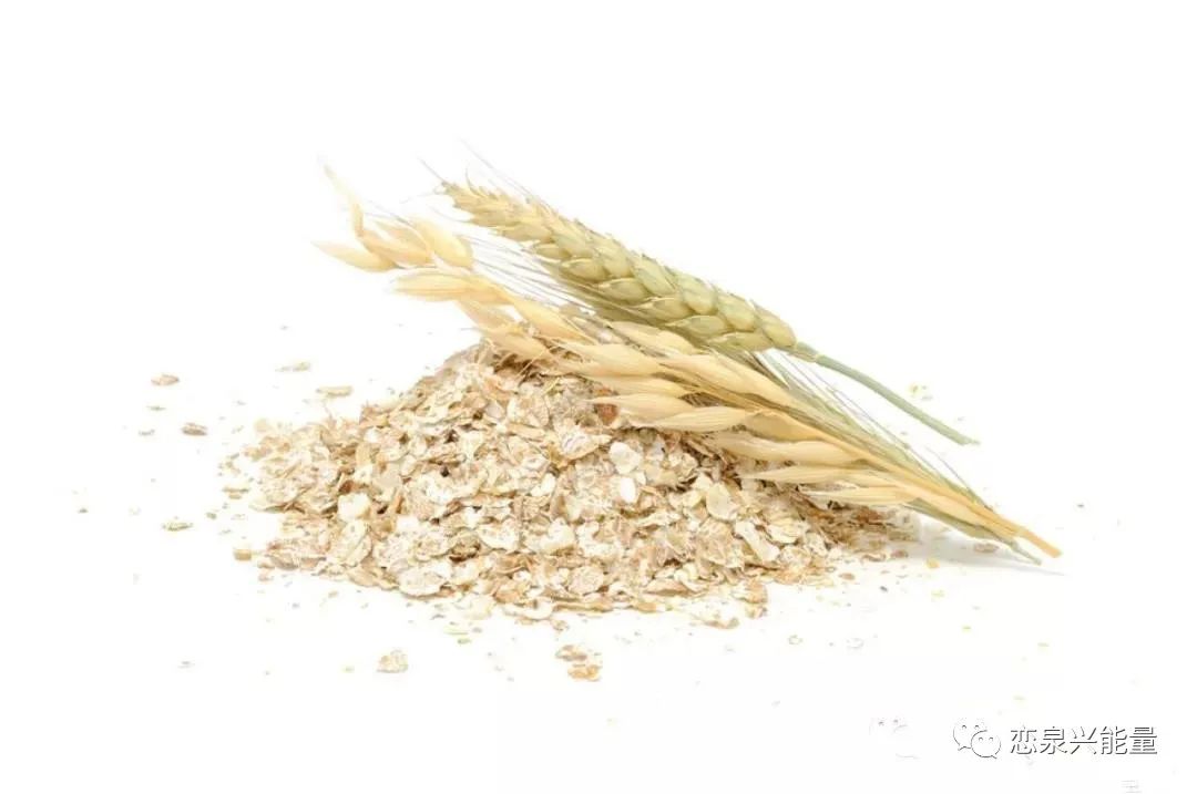 钙十锌镁磷硒铁十八补