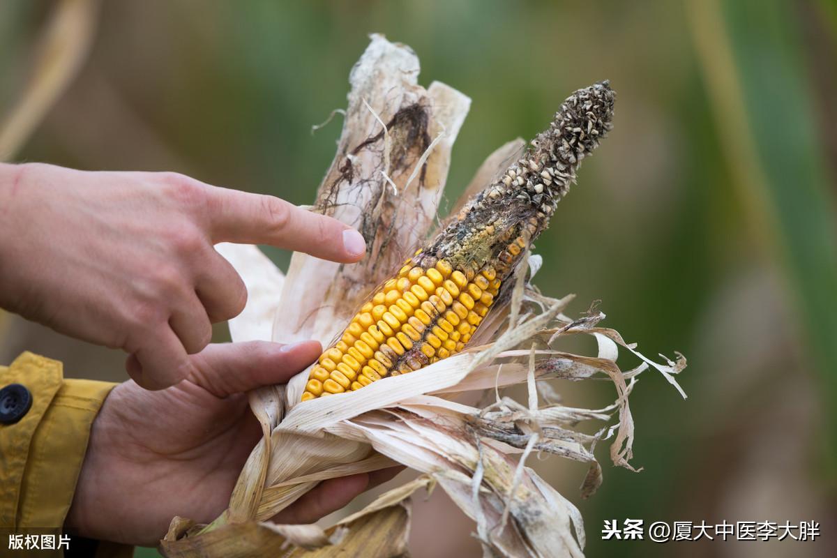 直肠癌手术后能补硒吗