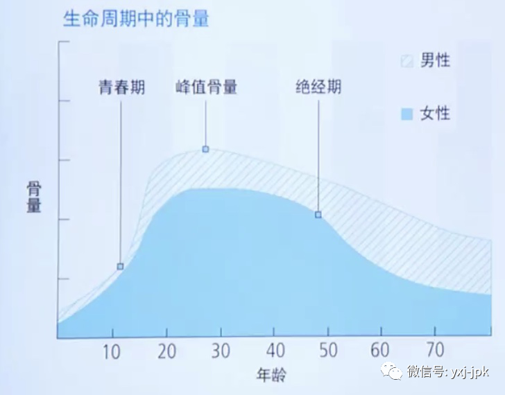 儿童要补钙吗