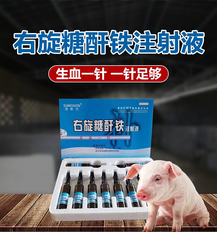 补铁的药品